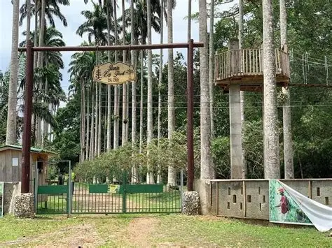Photograph of Bunso Arboretum